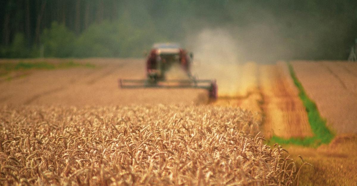 Időjárás: kánikulára adtak ki figyelmeztetést Időjárás: kánikulára adtak ki figyelmeztetést