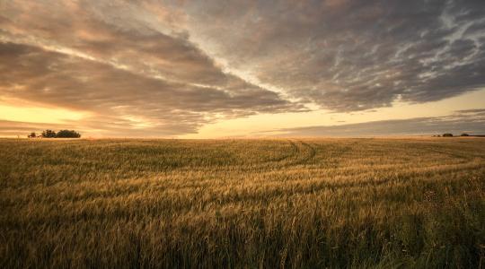 7 napos időjárás-előrejelzés: marad a vénasszonyok nyara