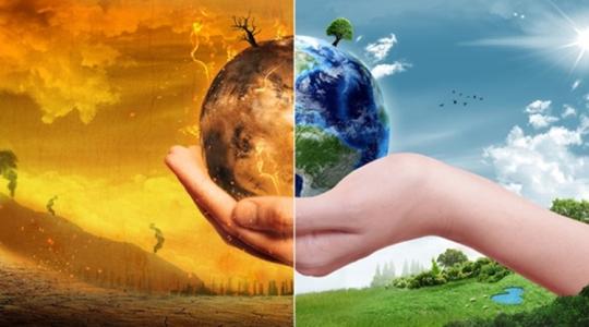 Meglepő felfedezés: ez a baktérium akár 0,22 °C-kal is csökkentheti a globális felmelegedést