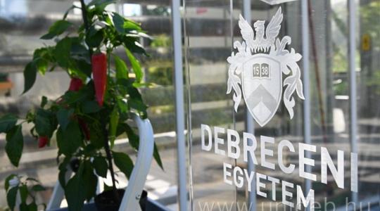 Magyar paprikát termelhetnek az asztronauták az űrben
