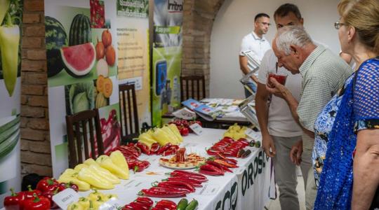 Veszélyben a magyar fűszerpaprika: olcsó kínai őrlemény árasztotta el Európa piacait