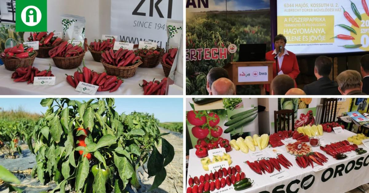 Tenni kell valamit, vagy leépül a magyar fűszerpaprika ágazat