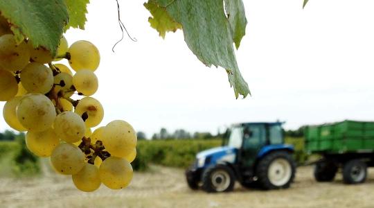 Időjárás: Visszatérnek a 30 fokos nyári napok
