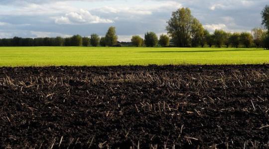 Folytatódnak a földárverések – vegyes művelési ágú földrészletekre is lehet licitálni