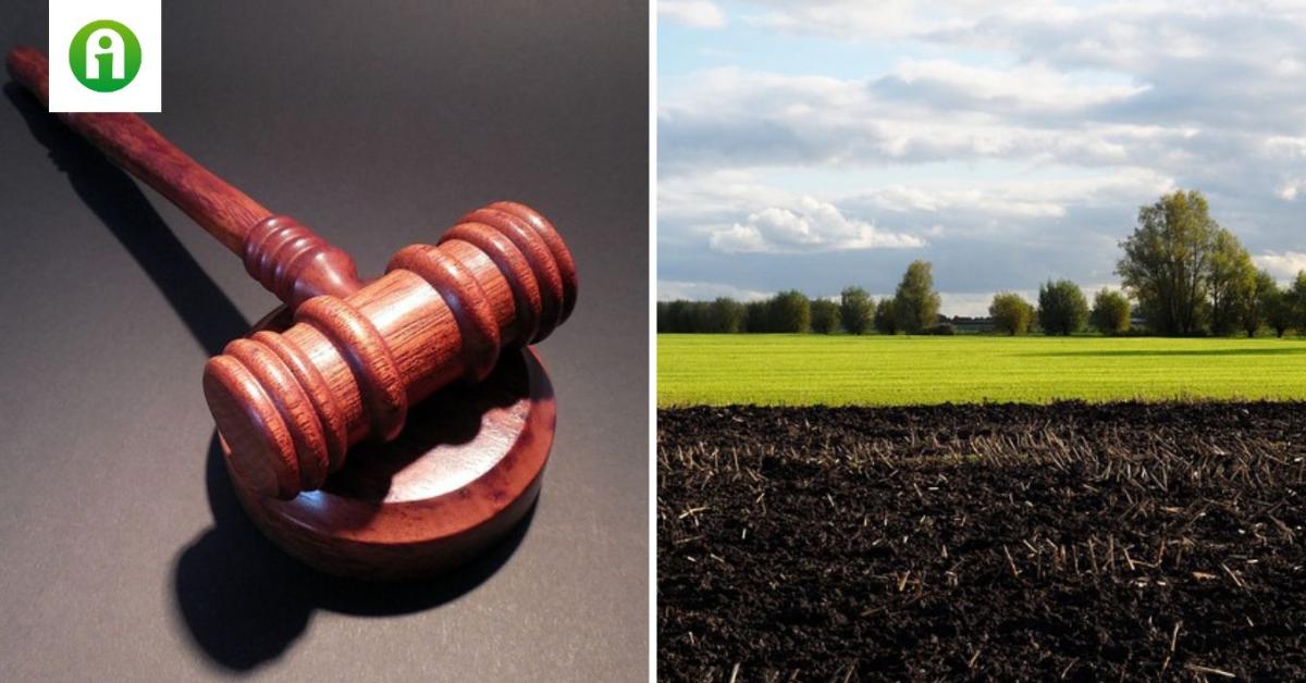 Folytatódnak a földárverések – vegyes művelési ágú földrészletekre is lehet licitálni