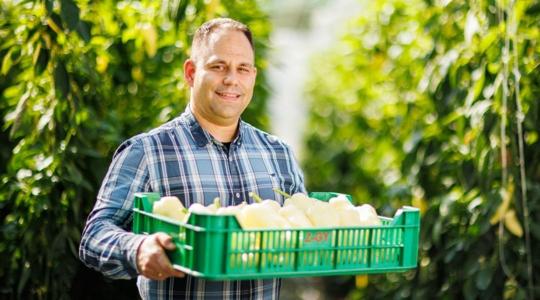 Végképp búcsút inthetünk az olcsó élelmiszereknek