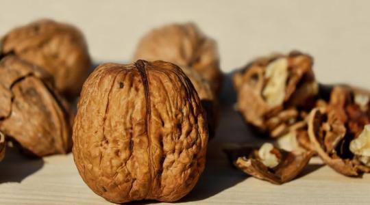 Az egész agrárium bajban van az ukránok miatt, most már a diótermelők is