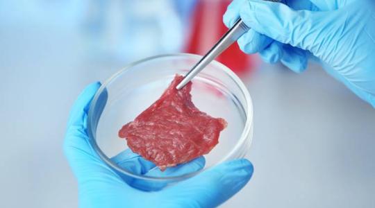 Ha a laboratóriumi húsra szavazunk, hányan válnak munkanélkülivé? 