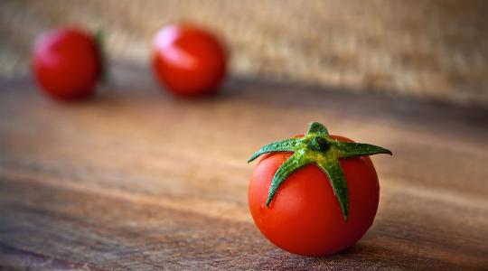 Az állatok befolyásolják, hogy egy növénynek melyik fajai terjednek el és válnak uralkodóvá