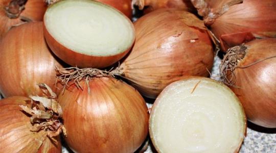 Megduplázódott az EU-ba érkező egyiptomi hagyma mennyisége