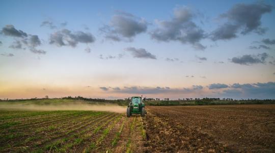 Megfelelő agrotechnikával megelőzhető a fuzárium