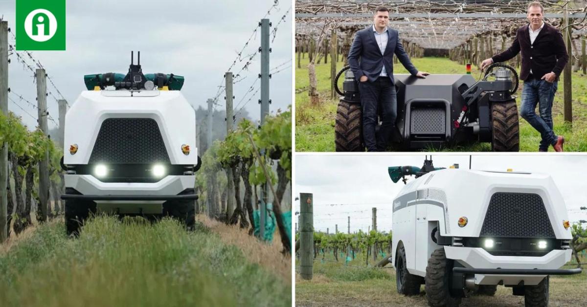 Könnyen és olcsón fenntartható robot a gyümölcsösbe