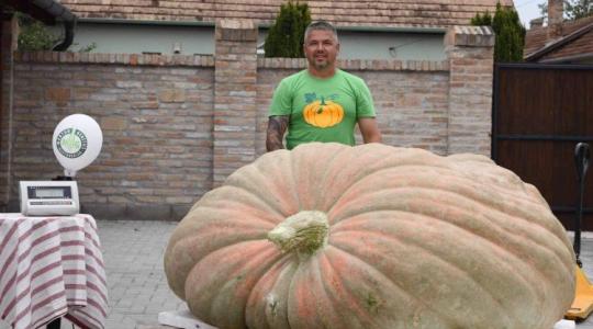 Magyar rekord lett a tápiószentmártoni óriástök!