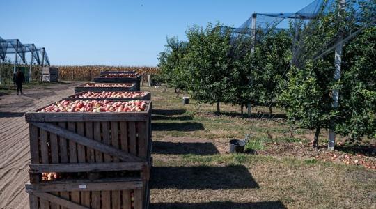 Ősszel is várja a diákokat a mezőgazdaság! 