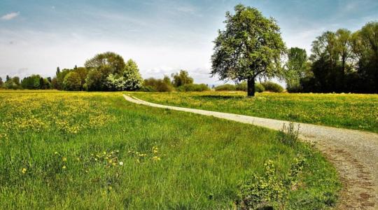 Létrehozták a Gyepvédelmi Tanácsadó Szolgálatot