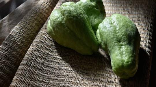 Chayote, egy igazi különlegesség, ami ráadásul szuperegészséges