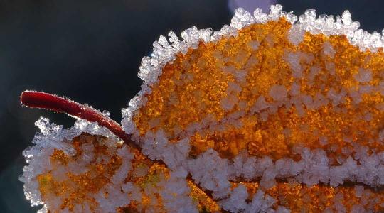 Mínusz 4,2 fokkal ijesztget a sarkvidéki hideg