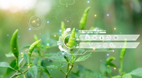 Ha nem érted, miért fontos a blockchain-technológia, ezt a videót nézd meg!