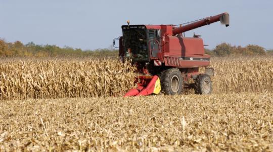 Itt vannak a számok: ennyi előleget kapnak a gazdálkodók 