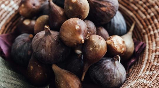 Hatalmas siker: 40 féle füge terem egy hazai birtokon