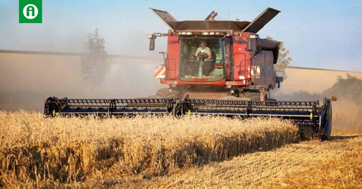 Visszaesett az ukrán gabonatermelés, az export csökkenése várható