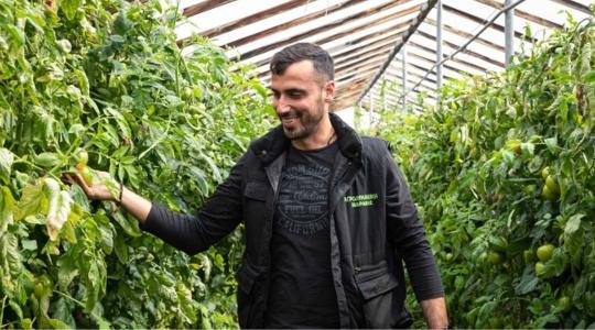 Csepegtető öntözéssel felére csökkenthető a vízhasználat – és már a dugulástól sem kell tartani 