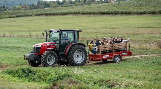 Breier Farm: vezetett Farm Túrákon kapcsolódhatnak ki a látogatók