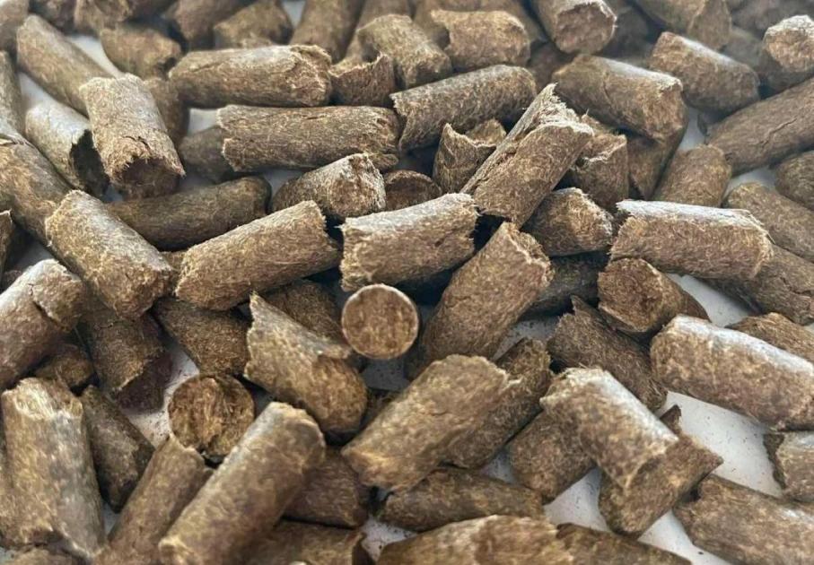 Így termelhet bevételt az eladhatatlan gyapjúd!