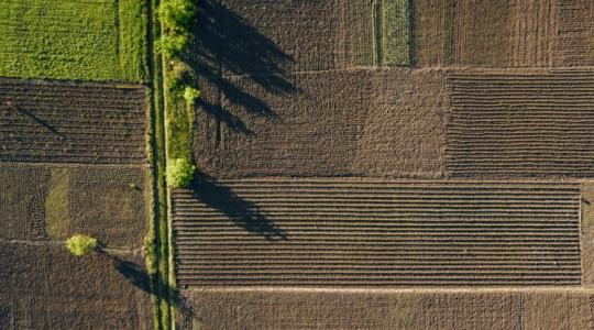 Még nem késő bejelenteni az elvégzett agrotechnikai műveleteket, másodvetéseket