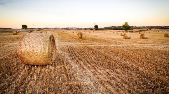 Hogyan alkalmazkodjunk az agrárszektor egyre nagyobb igényeihez? 