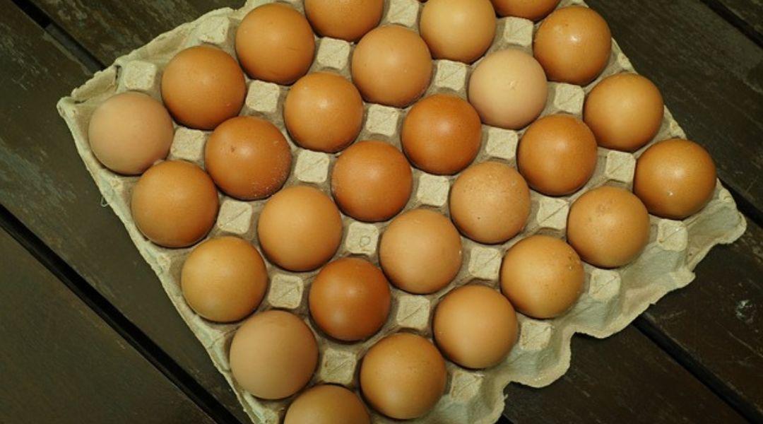 Ezt nézd meg először, ha úgy érzed, kockázatos lehet a tojás fogyasztása
