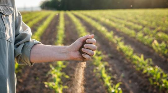 Vidékfejlesztési Kormánybizottság alakult az agráriumért