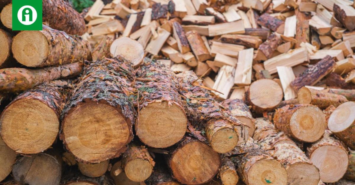 Milyen a jó rönkhasító? Milyen a jó rönkhasító?