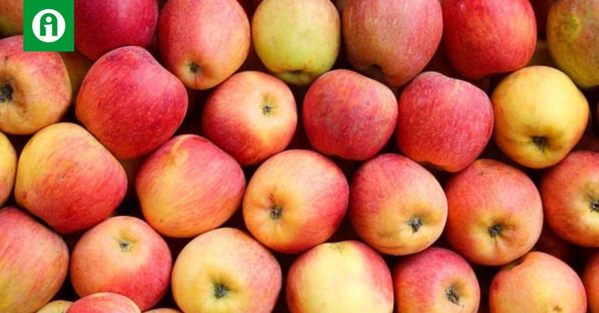 Kisebb-nagyobb hiányosságok, jelölési hibák, bírságok – lezárult az első őszi szezonális ellenőrzés Kisebb-nagyobb hiányosságok, jelölési hibák, bírságok – lezárult az első őszi szezonális ellenőrzés