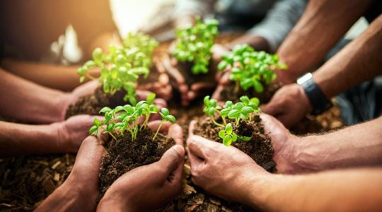 Megállapodásokat kötött a három magyarországi agrárképző egyetem