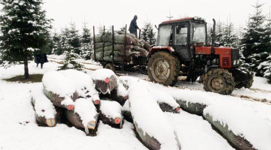Megérkeztek a friss hóvastagság adatok!