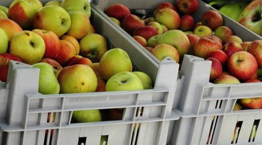 Hiába kezdett csökkenni az infláció, januártól nagy bajban lesznek a lengyel gazdák