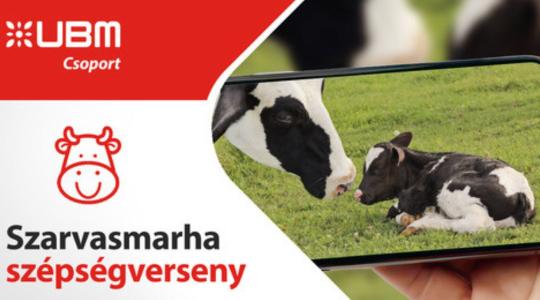 Szarvasmarha-szépségverseny indult – bármely hazai állattartó nevezhet 