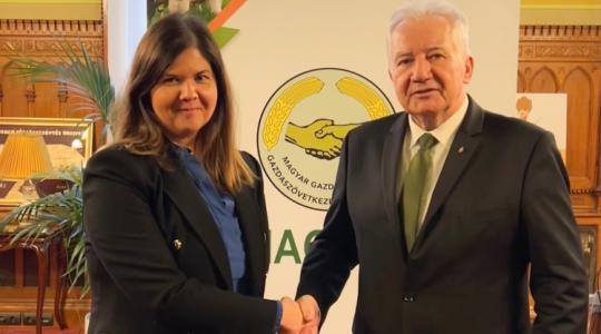 Támogatás az uniós pénzek sikeres lehívásához
