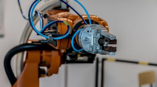 Ez nem fikció: robotok válogatják a zöldségeket, pakolják a darált húst