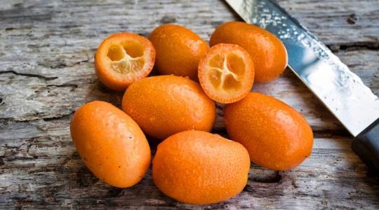 Kumquat, az ázsiai citrusok gyöngyszeme