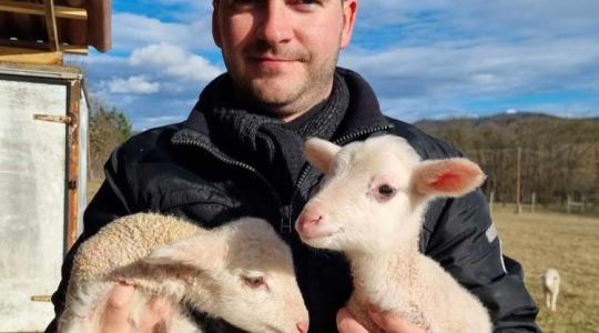 Környezetbarát biofűnyírók – lacaune ikerellés Cserszegtomajon