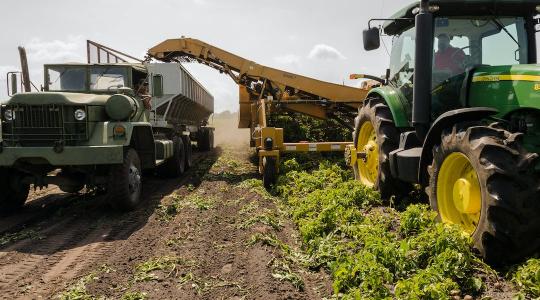 Még több támogatás: közel 3000 milliárd forintnyi forrás áll az agrárium rendelkezésére