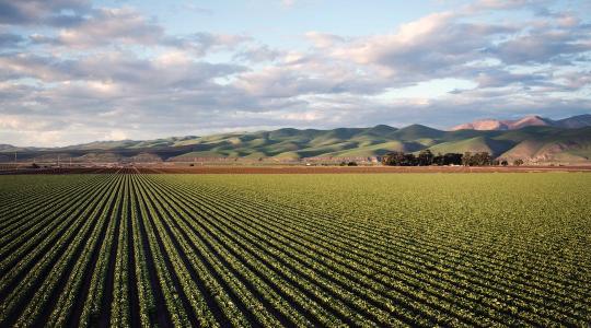 Ukrajna előkészítés nélküli belépése a feje tetejére állítaná az EU agrárköltségvetését