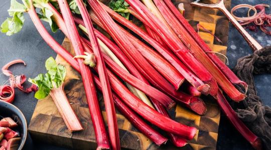 A rebarbara kiváló antioxidáns és tökéletes rostforrás, amit gyakrabban kéne fogyasztanunk