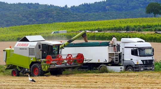 Jelentősen emelkedett hazánk agrár-külkereskedelme