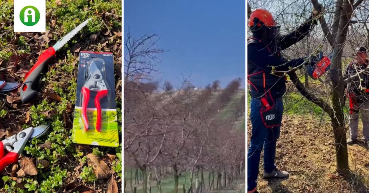 Ha ezekkel a metszőollókkal nem fogsz profin metszeni, akkor semmivel +VIDEÓ