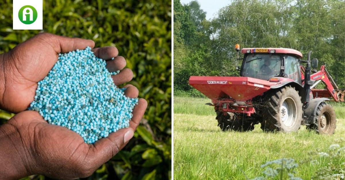 Harmadával esett vissza a műtrágya ára, mégsem nőtt a kereslet Harmadával esett vissza a műtrágya ára, mégsem nőtt a kereslet