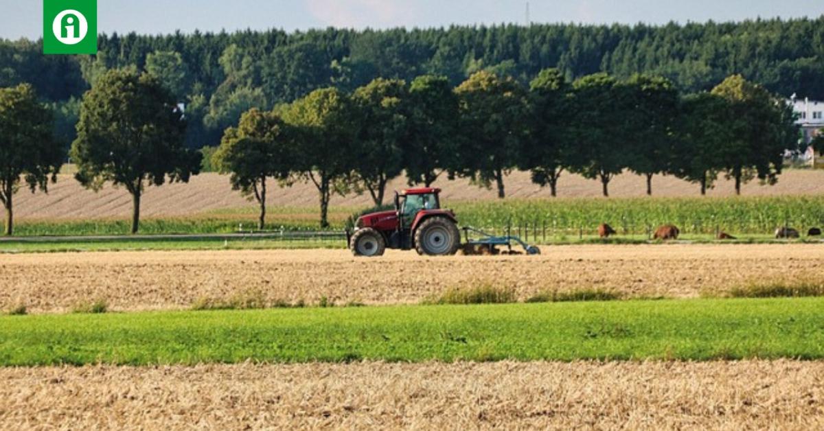 Most megtudhatod, hogy ki lehet a családi gazdaság tagja Most megtudhatod, hogy ki lehet a családi gazdaság tagja