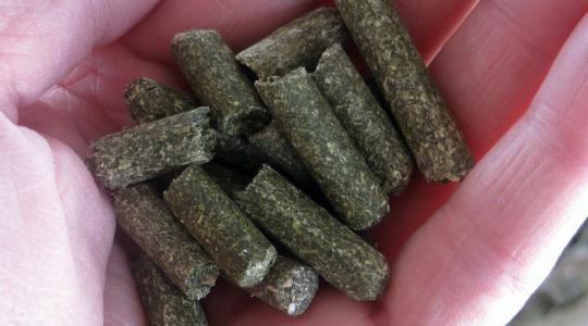 Nem csökken a pellet ára, a gazdák mégis ragaszkodnak hozzá